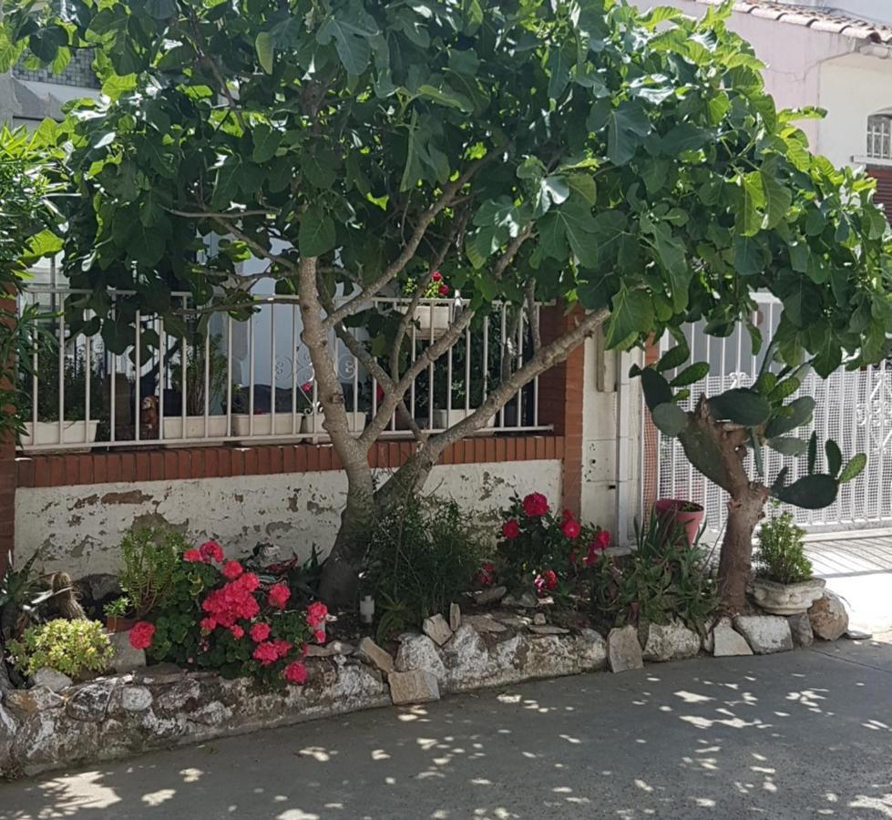 Maison De Vacances A Empuriabrava "Oasis" Villa Exterior photo
